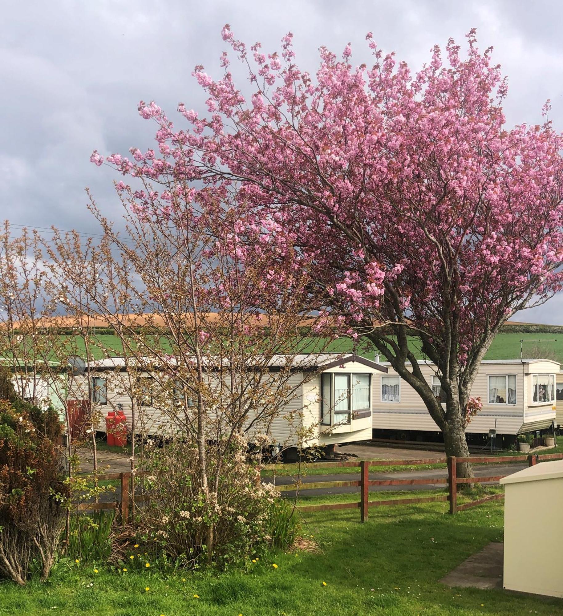 Turnberry Holiday Home Esterno foto